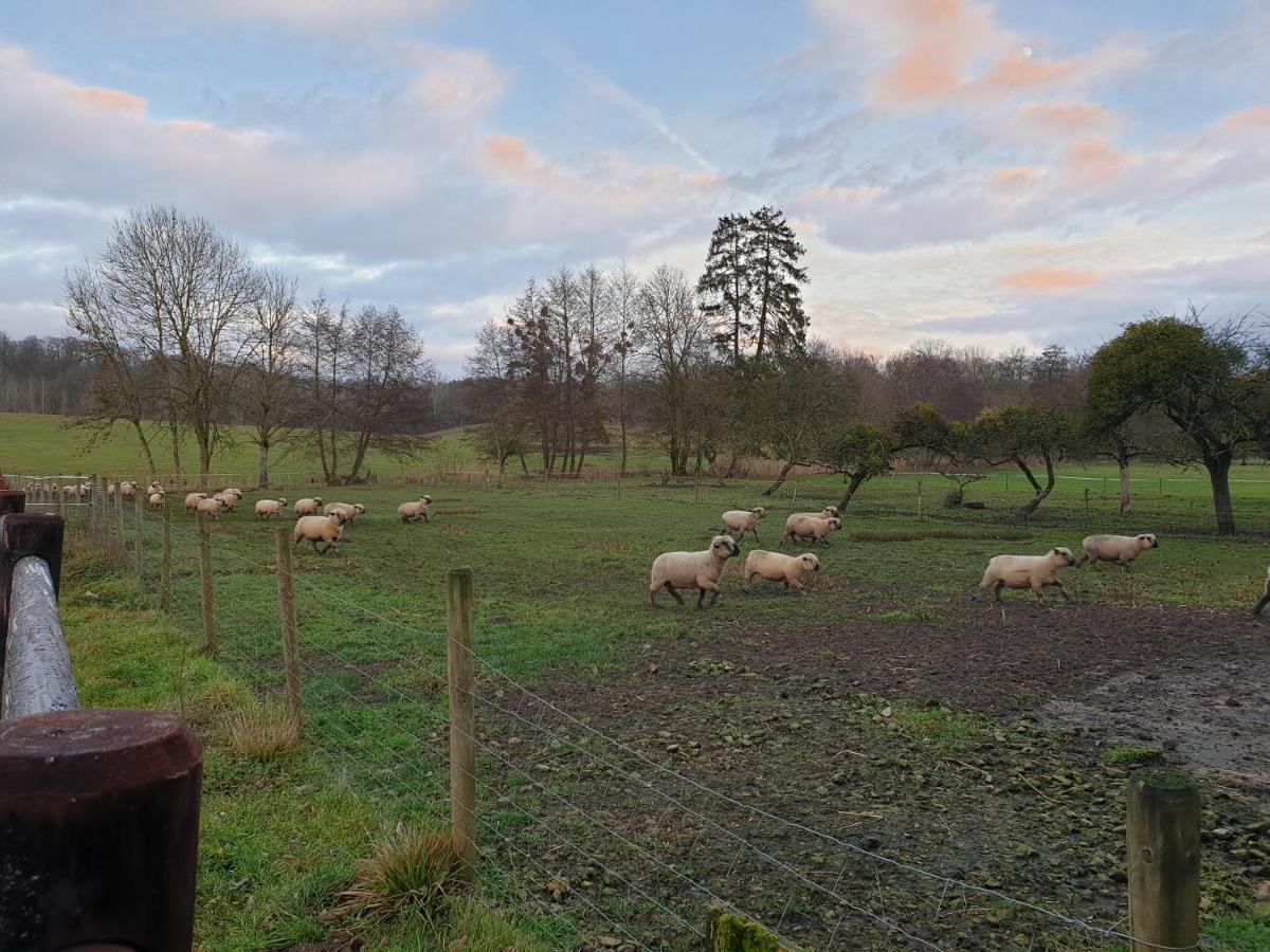 Les De Preisch Séjour chez l'habitant Evrange